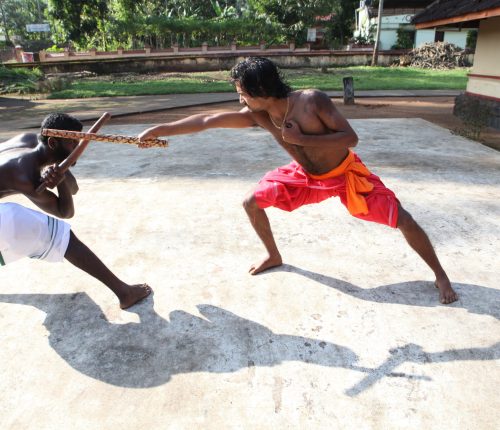 Kalaripayattu training